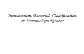 Introduction, Bacterial  Classification & Immunology Review