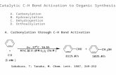 Catalytic C-H Bond Activation to Organic Synthesis