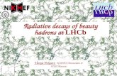 Radiative decays of beauty hadrons at  LHCb