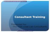 Consultant Training