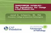 TRANSFORMING PATHOLOGY: The Ingredients for Change A Chef’s Husband’s View