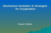 Mechanical Ventilation & Strategies  for Oxygenation
