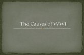 The  Causes of  WWI