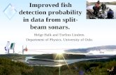 Improved fish detection probability in data from split-beam sonars.