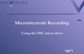 Microelectrode Recording
