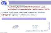 FLUOREM, Spin off of Ecole Centrale de Lyon, specialized in Computational Fluid Dynamics (CFD)