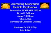 Animating Suspended Particle Explosions