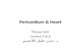 Pericardium & Heart