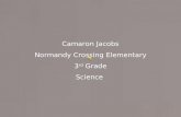 Camaron Jacobs Normandy Crossing Elementary 3 rd  Grade Science
