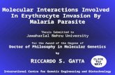 Molecular Interactions Involved  In Erythrocyte Invasion By  Malaria Parasite Thesis Submitted to