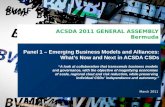 Panel 1 – Emerging Business Models and Alliances: What’s Now and Next in ACSDA CSDs