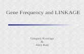 Gene Frequency and LINKAGE
