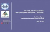 NATIONAL STRATEGY STUDY  Clean Development Mechanism  -  NSS PERU