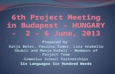 6th Project Meeting in Budapest – HUNGARY -  2 – 6 June, 2013
