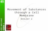 Movement of Substances through a Cell Membrane