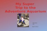 My Super  Trip to the  Adventure Aquarium