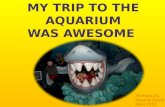 mY  trip to the  aquarium  was awesome