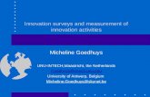 Innovation surveys and measurement of innovation activities
