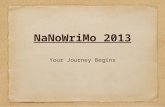 NaNoWriMo 2013