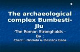 The archaeological complex Bumbesti-Jiu
