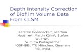Depth Intensity Correction of Biofilm Volume Data From CLSM