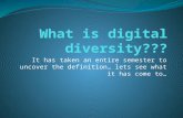 What is digital diversity???