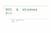 DOS  &  Windows  O/s