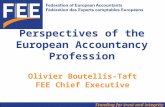 Perspectives of the European Accountancy Profession