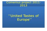 Comenius project  2011-2013