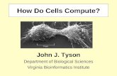 How Do Cells Compute?