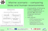 Marine scenario – comparing biota and human assessments