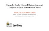Sample Scale  Liquid Retention and Liquid-Vapor Interfacial Area