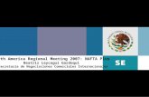 North America Regional Meeting 2007: NAFTA Plus Beatriz Leycegui Gardoqui