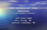 MRI Atlas of the Abdomen (a self-guided tutorial)