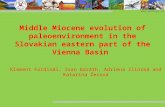 Middle Miocene evolution of paleoenvironment in the Slovakian eastern part of the Vienna Basin