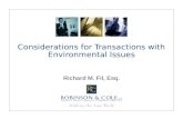 Considerations for Transactions with Environmental Issues