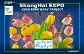 ShangHai EXPO -2010 EXPO BABY PROJECT