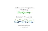 An End-User Perspective On Using NatQuery Summary Processing