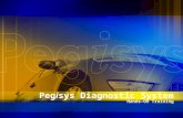 Peg i sys Diagnostic System Hands-On Training