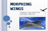 Morphing wings