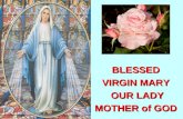 BLESSED  VIRGIN MARY  OUR LADY MOTHER of GOD