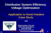 Distribution System Efficiency Voltage Optimization