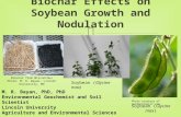 Biochar Effects on Soybean Growth and Nodulation