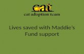 Lives saved with  Maddie’s  Fund support