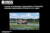 Causes of Increasing Concentrations of Polycyclic Aromatic Hydrocarbons (PAHs) in U.S. Lakes