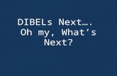 DIBELs Next….  Oh my, What’s Next?