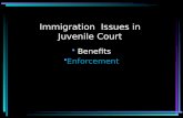 Immigration  Issues in  Juvenile Court