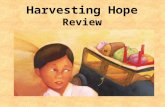 Harvesting Hope Review