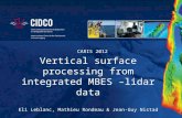 Vertical surface processing from integrated MBES – lidar  data