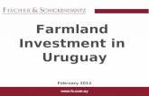Farmland  Investment in  Uruguay February 2012